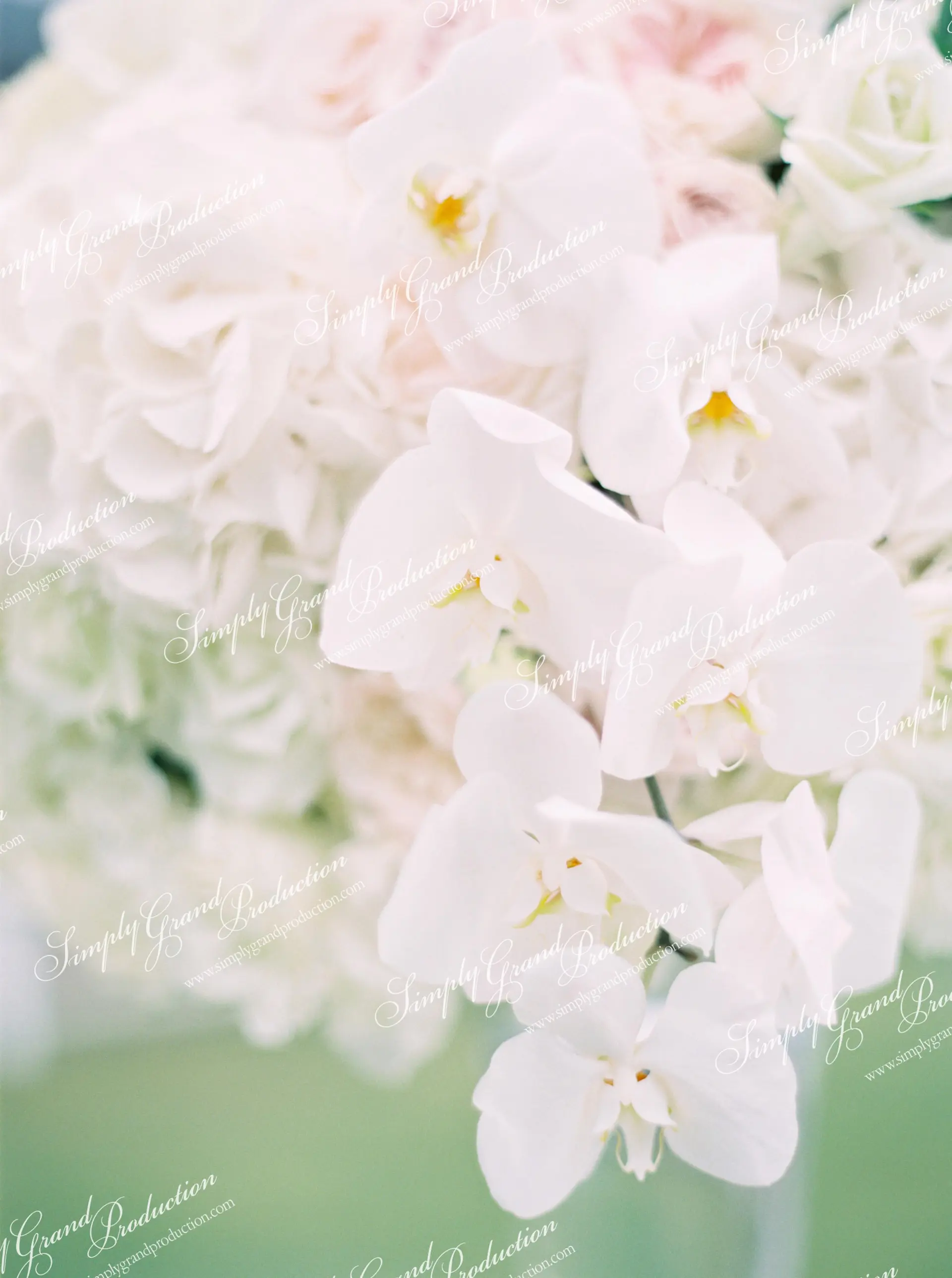 Simply_Grand_Production_Outdoor_wedding_decoration_orchid_white_Country_Club_1_6.jpg